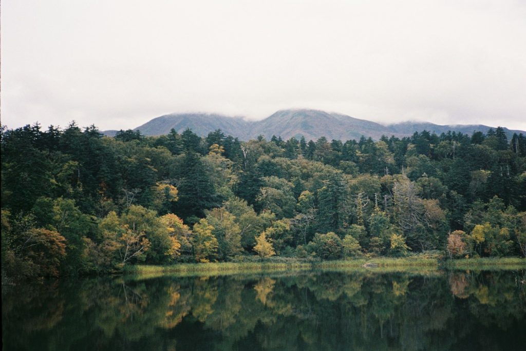 a body of water surrounded by trees and mountains